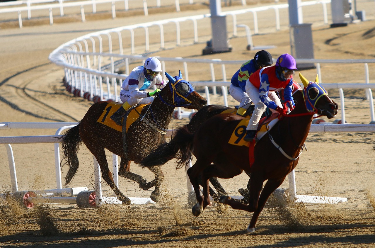Real Money Horse Racing Betting India 2026: Step-by-Step Guide for India (2027)